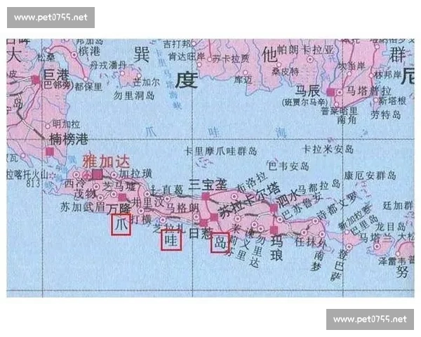 新加坡对阵印尼区域竞争格局与合作前景深度解析东南亚政治经济影响 新加坡对阵印尼区域竞争格局与合作前景深度解析东南亚政治经济影响
